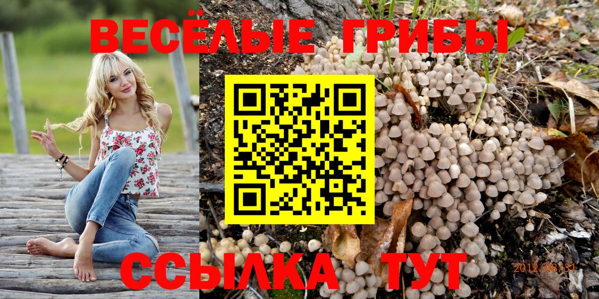 Партизанск  Галлюциногенные грибы Cubensis  Вход с VPN 