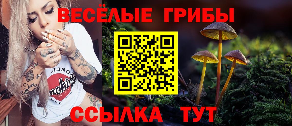 Псилоцибиновые грибы мицелий Партизанск